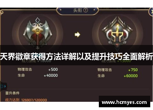 天界徽章获得方法详解以及提升技巧全面解析